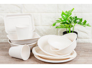 Dishes From Sugarcane Plates