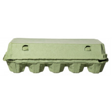 Cardboard tray for 10 eggs, hinged lid, green