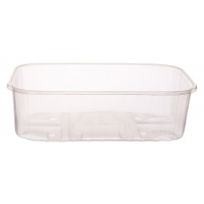 Container for berries 500gr 197*114*58mm transparent PP